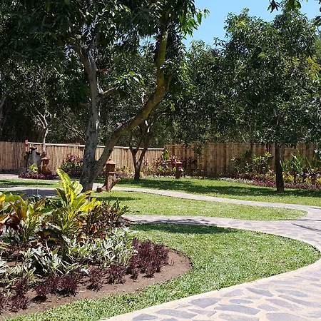 Mango Tree Inn