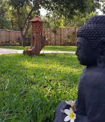 Mango Tree