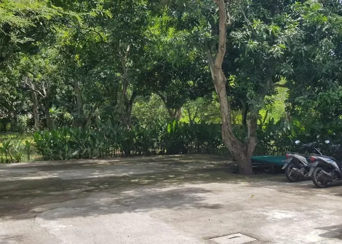 Mango Tree 4* Pemuteran