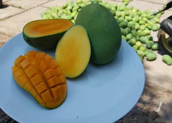 Mango Tree Maison d'hôtes Pemuteran