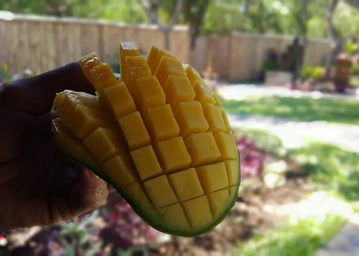 Mango Tree 4* Пемутеран