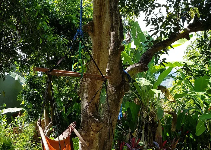 Mango Tree Pemuteran