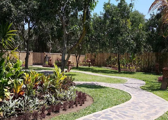 Mango Tree 4*